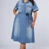 Ari Denim Midi Dress
