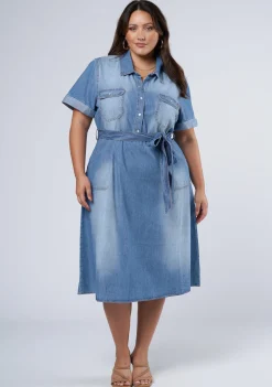 Ari Denim Midi Dress