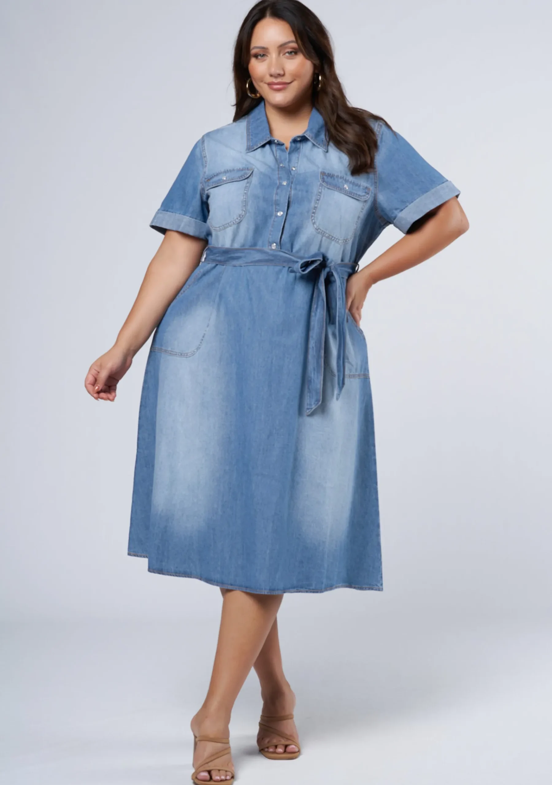 Ari Denim Midi Dress