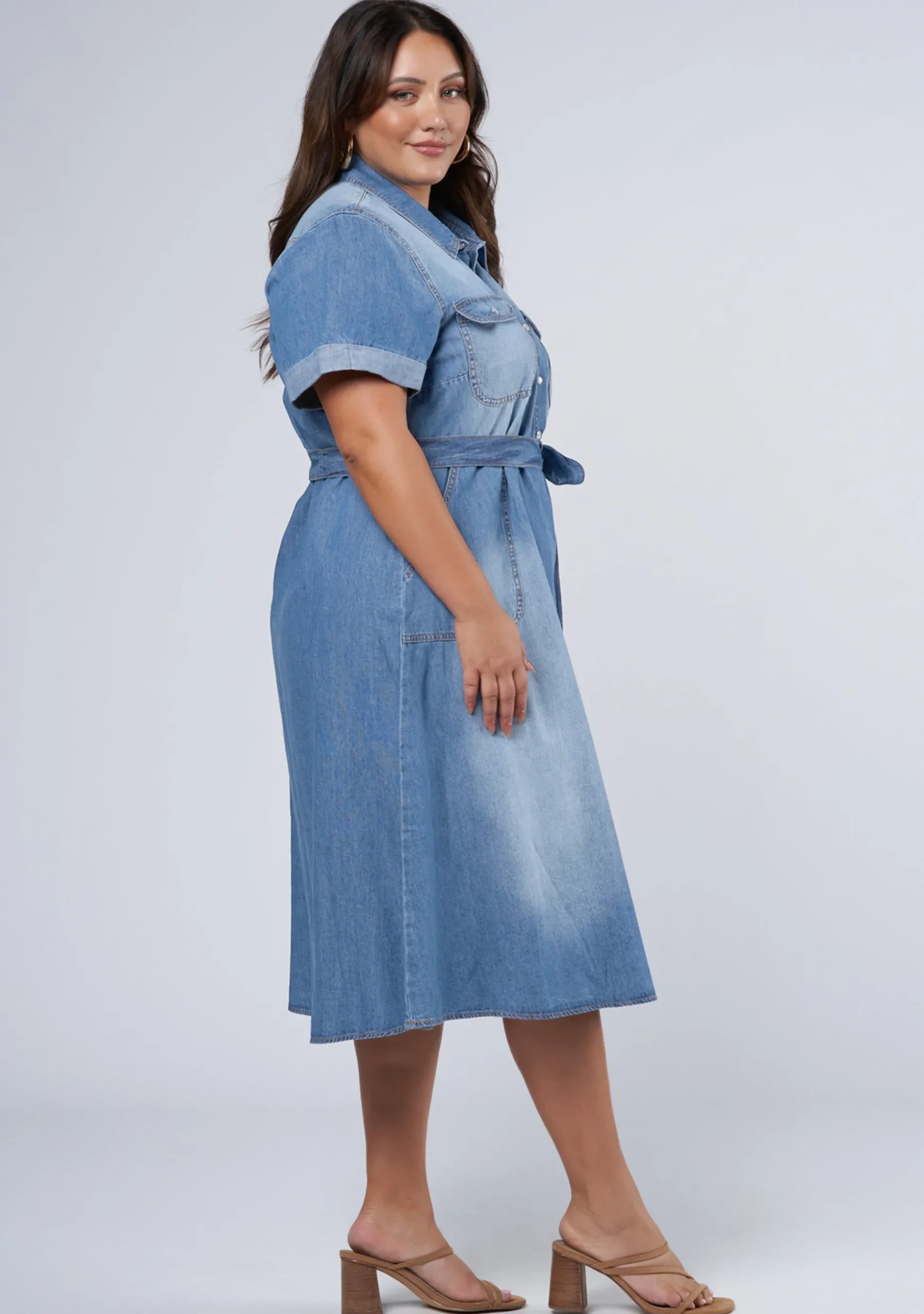 Ari Denim Midi Dress