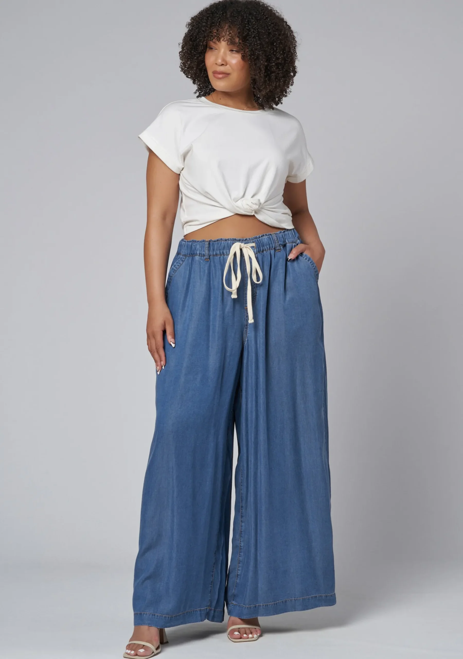 Blake Chambray Wide Leg Pants
