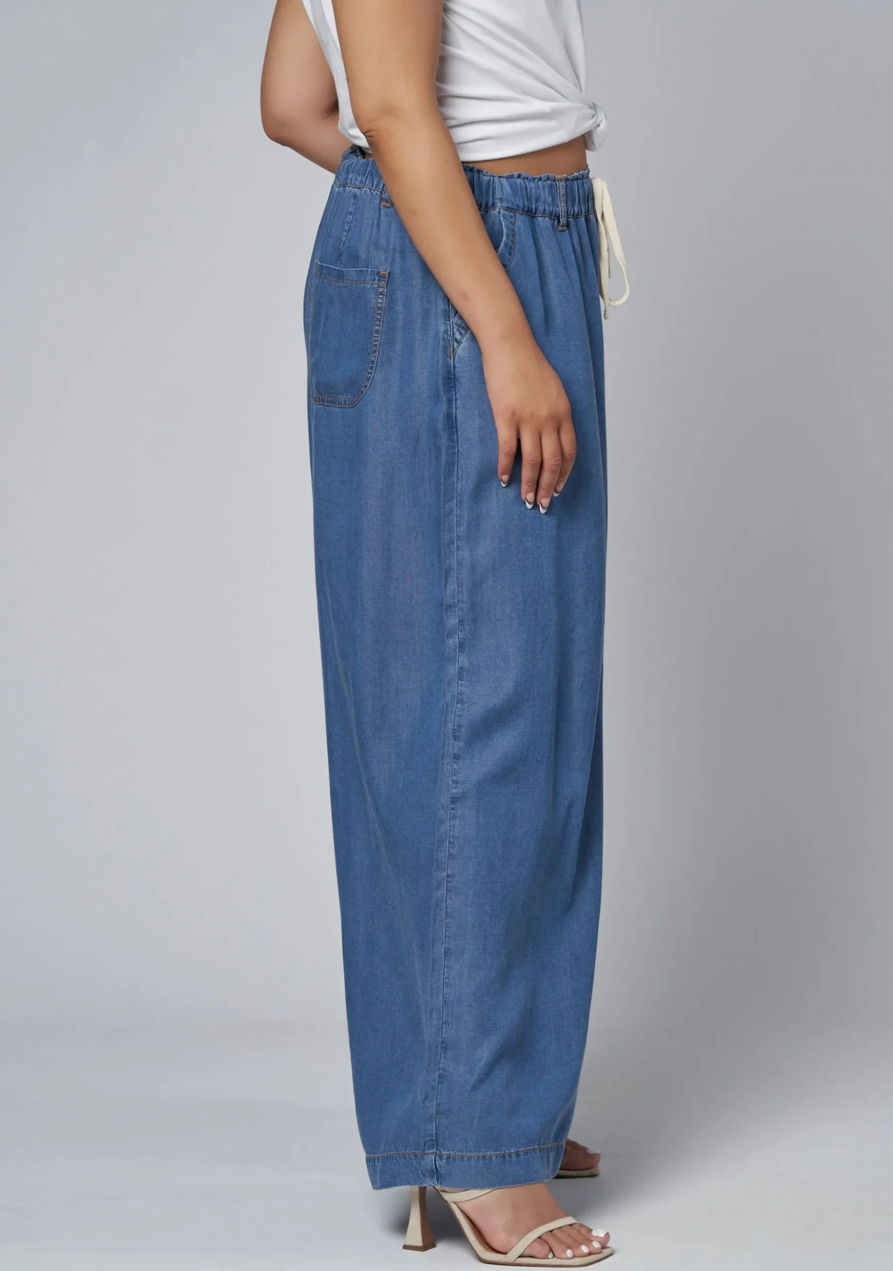 Blake Chambray Wide Leg Pants