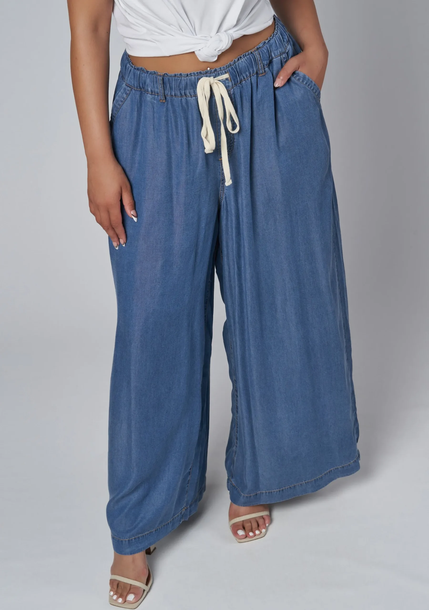 Blake Chambray Wide Leg Pants