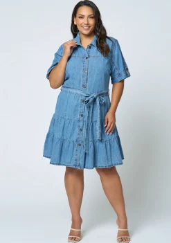 Carla Chambray Denim Dress