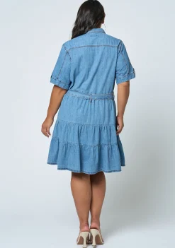Carla Chambray Denim Dress