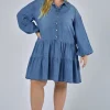 Emer Denim Mini Dress