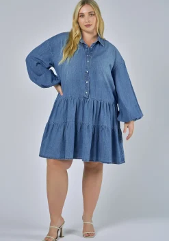 Emer Denim Mini Dress