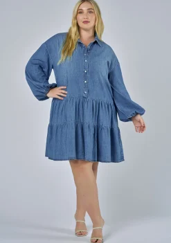 Emer Denim Mini Dress