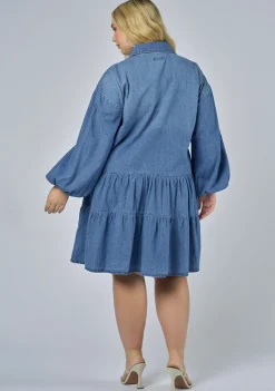 Emer Denim Mini Dress