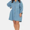 Mina Denim Mini Dress