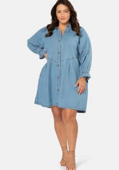 Mina Denim Mini Dress