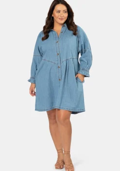 Mina Denim Mini Dress