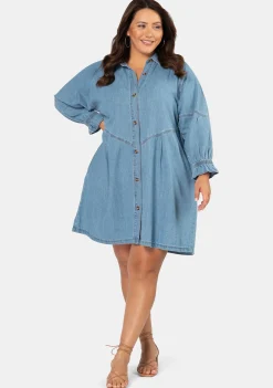 Mina Denim Mini Dress
