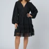 Zaliah Lace Mini Dress